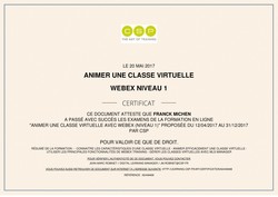 certificat pour animer des classes virtuelles Franck Michen
